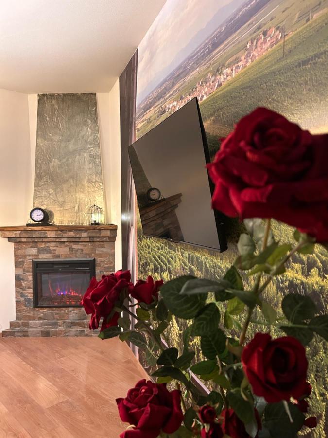 Appartamento Esprit Alsace: 70M2 De Charme Mulhouse Esterno foto